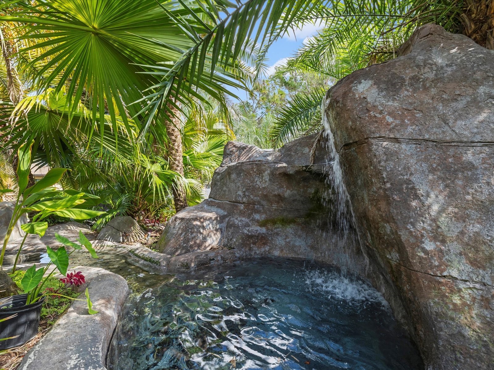 9027 Mavis Road Weeki Wachee FL 34613 W7886196 image36