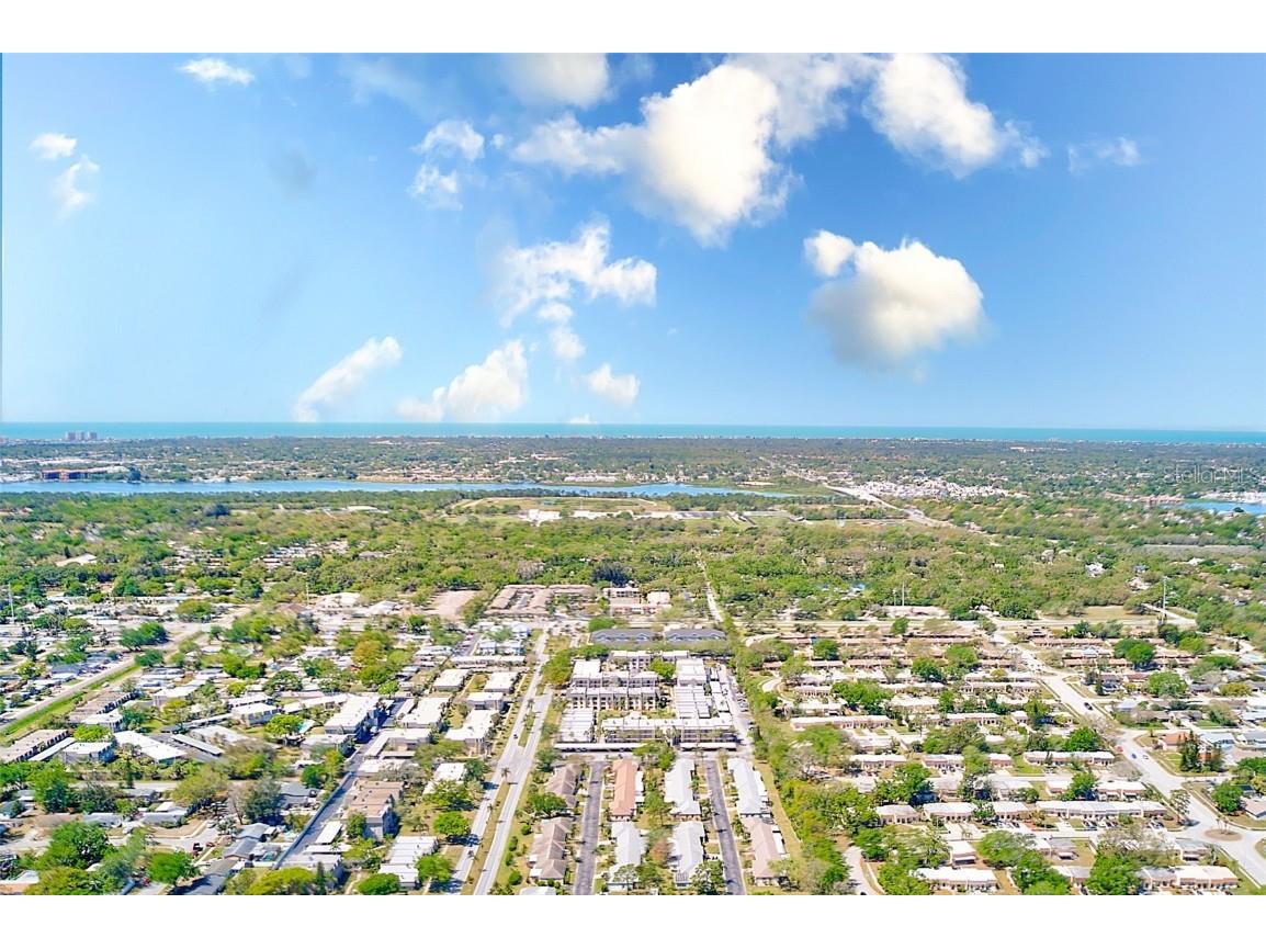 9027 Merrimoor Boulevard Seminole FL 33777 TB8396547 image56