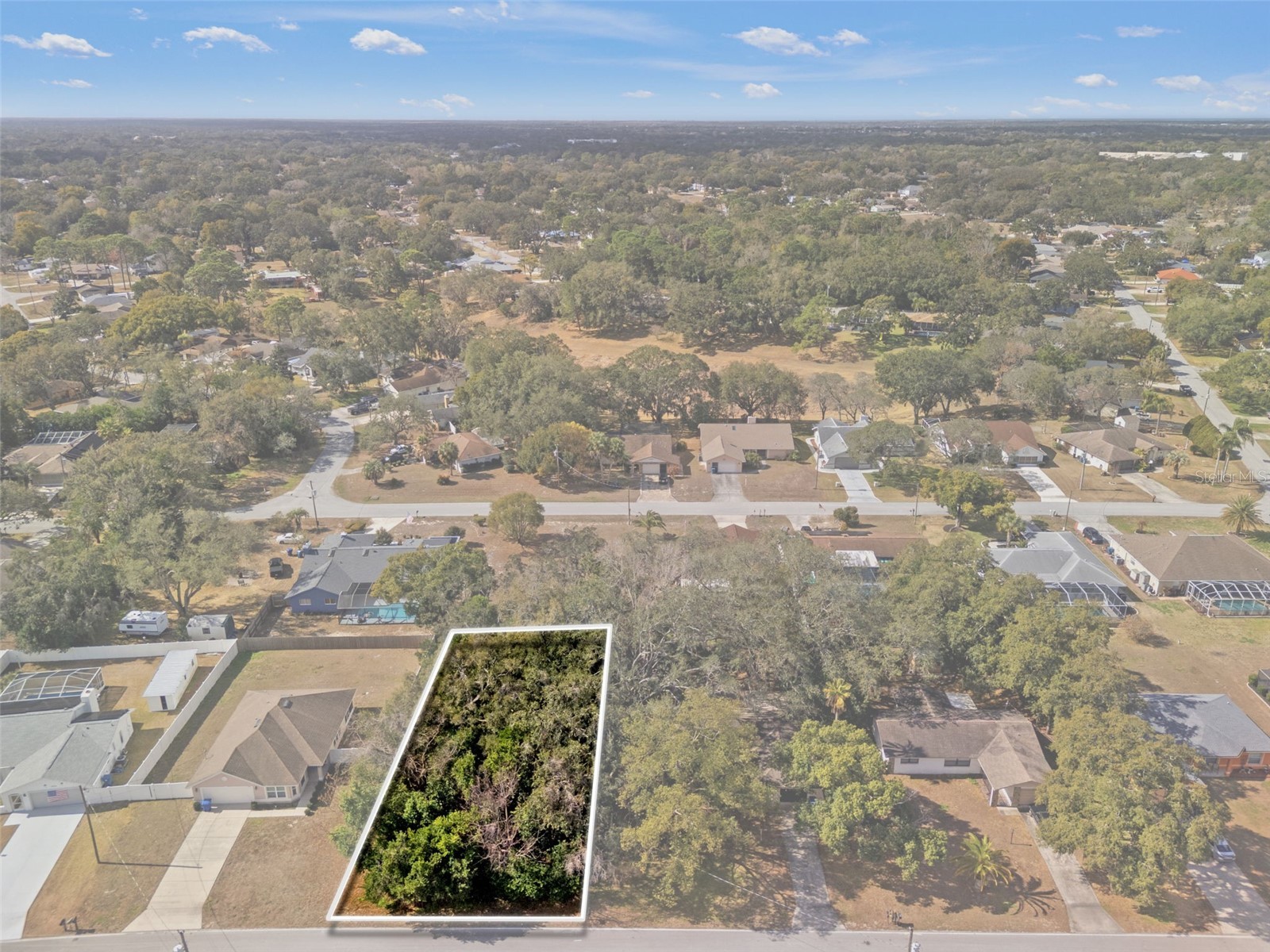 9028 Horizon Drive Spring Hill FL 34608 W7882431 image1