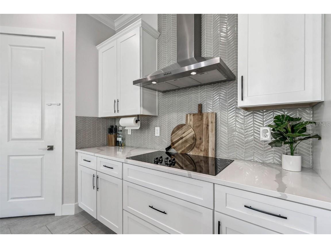 9028 Ivy Stark Boulevard Wesley Chapel FL 33545 TB8437575 image16