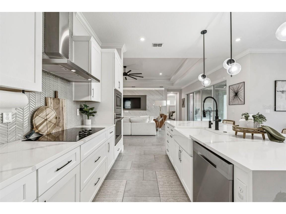 9028 Ivy Stark Boulevard Wesley Chapel FL 33545 TB8437575 image17