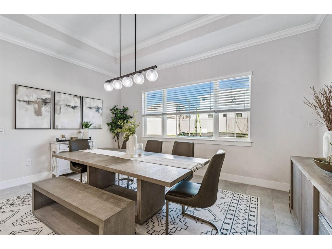 9028 Ivy Stark Boulevard Wesley Chapel FL 33545 TB8437575 image19