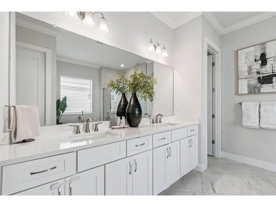 9028 Ivy Stark Boulevard Wesley Chapel FL 33545 TB8437575 image28