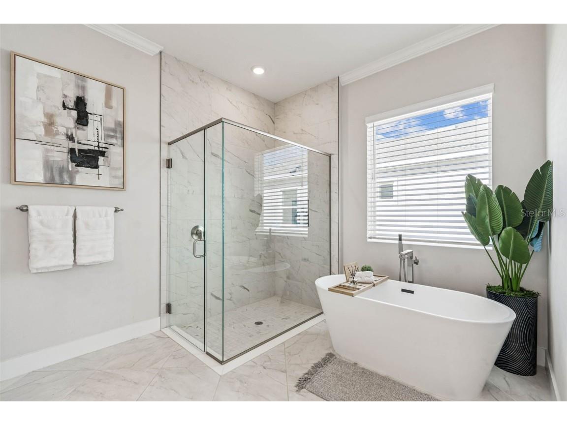 9028 Ivy Stark Boulevard Wesley Chapel FL 33545 TB8437575 image30