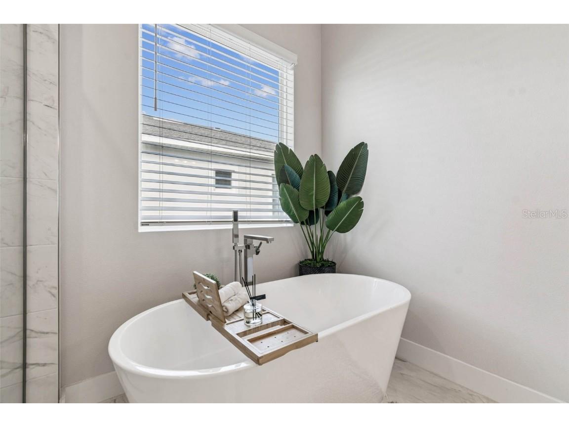 9028 Ivy Stark Boulevard Wesley Chapel FL 33545 TB8437575 image31