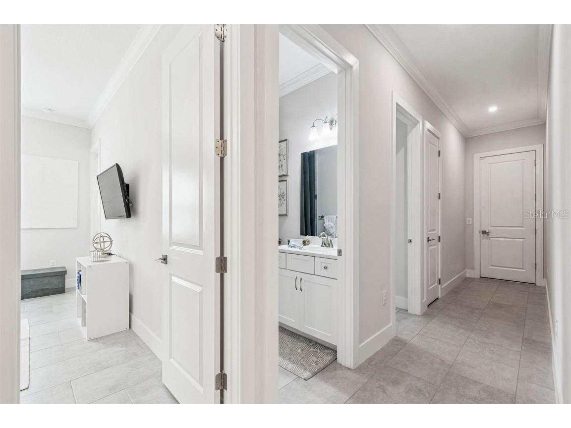 9028 Ivy Stark Boulevard Wesley Chapel FL 33545 TB8437575 image39