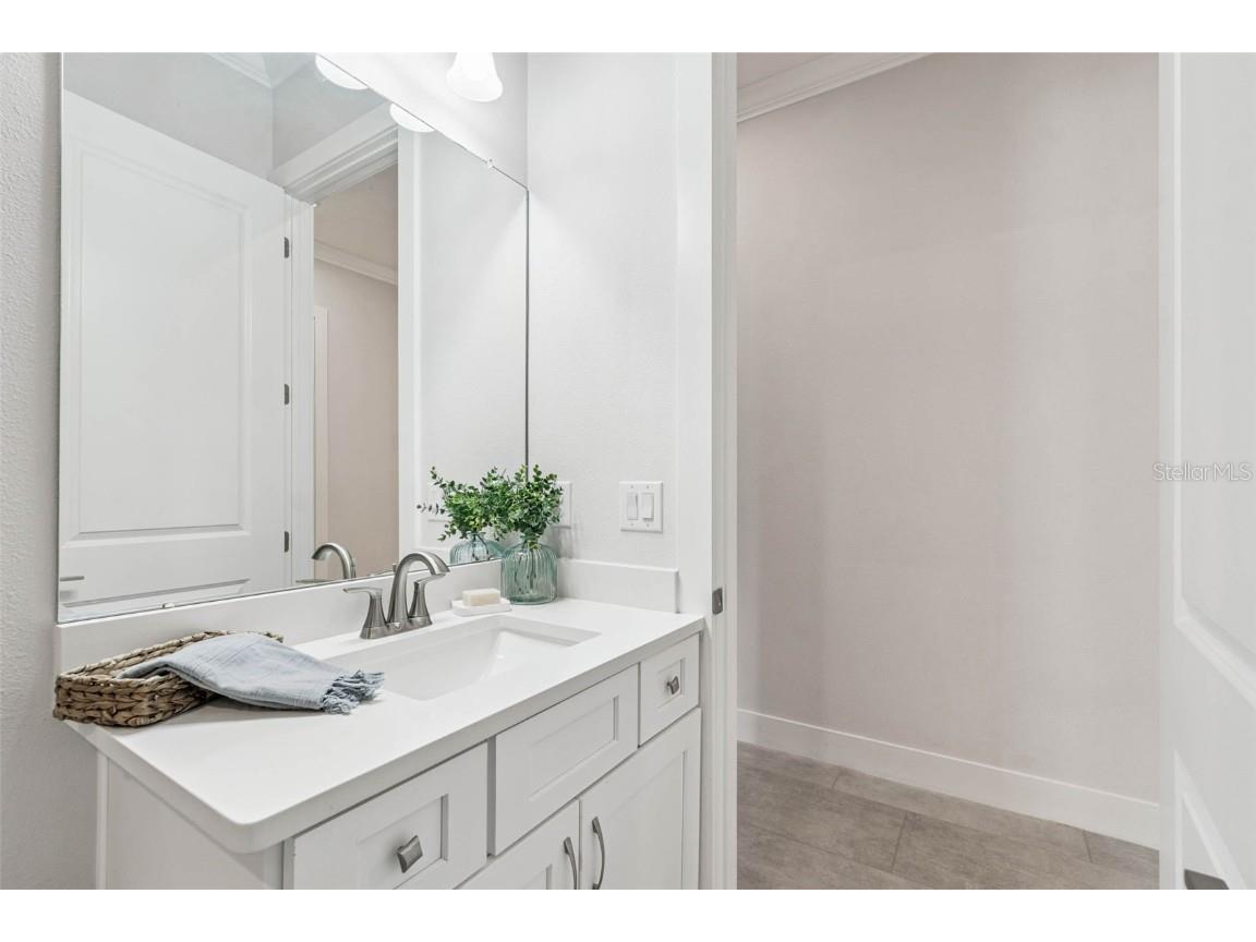 9028 Ivy Stark Boulevard Wesley Chapel FL 33545 TB8437575 image43