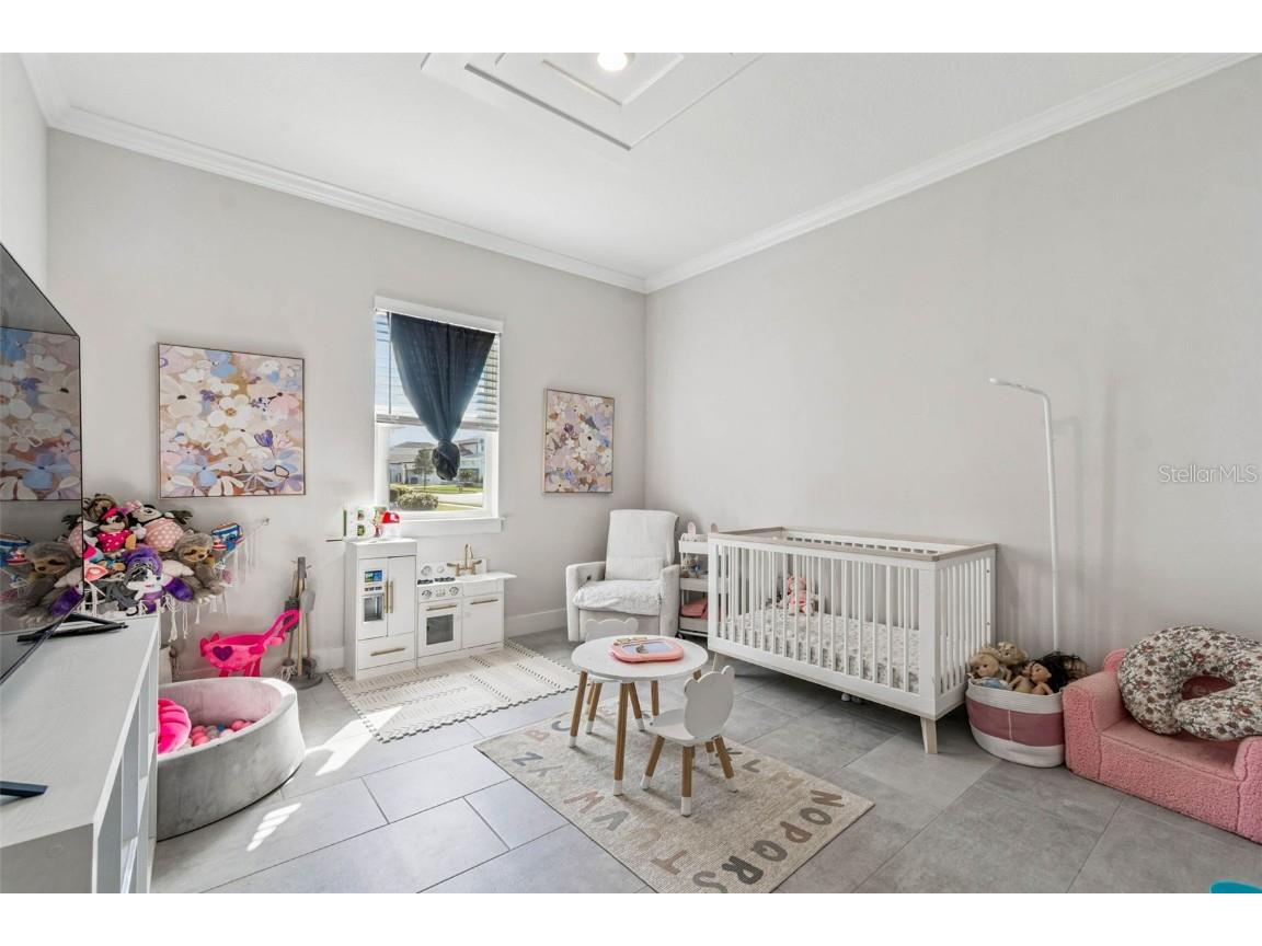 9028 Ivy Stark Boulevard Wesley Chapel FL 33545 TB8437575 image44