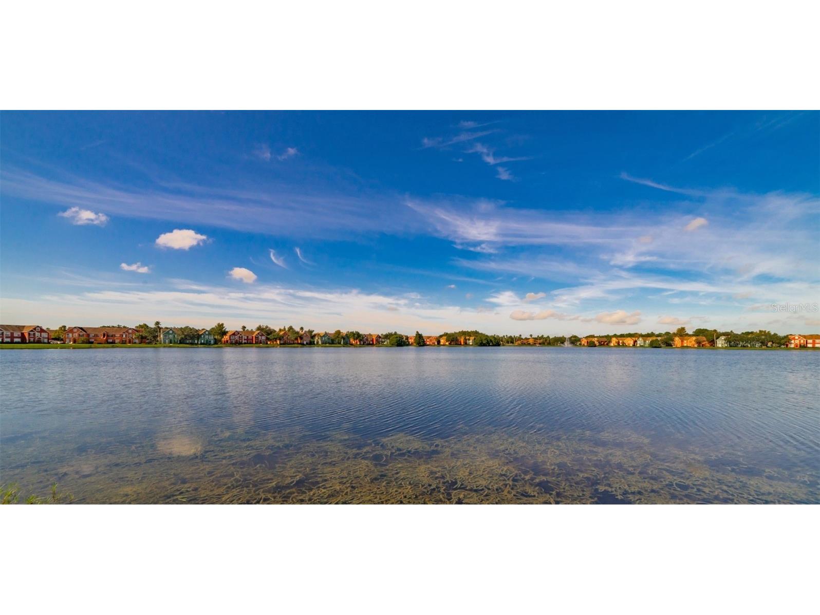 9028 Lake Chase Island Way #9028 Tampa FL 33626 TB8453537 image38