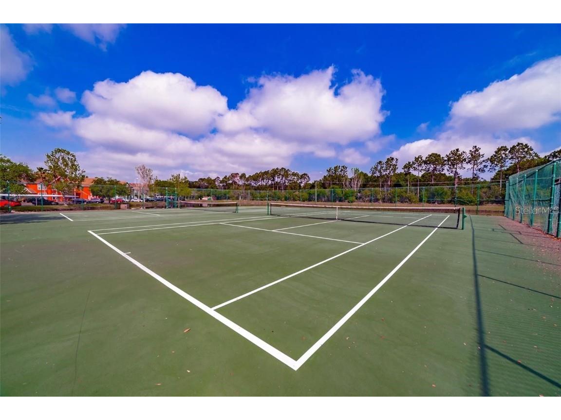 9028 Lake Chase Island Way Tampa FL 33626 - LAKE CHASE TB8457627 image38