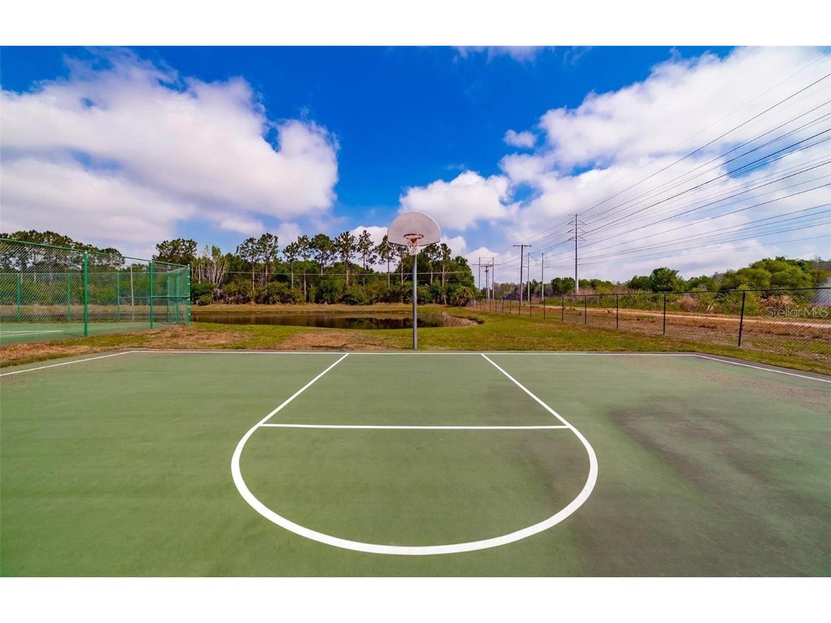 9028 Lake Chase Island Way Tampa FL 33626 - LAKE CHASE TB8457627 image40