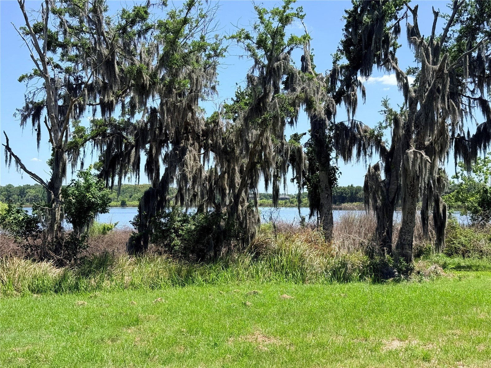 9028 Mckendree Road Wesley Chapel FL 33545 TB8495235 image10