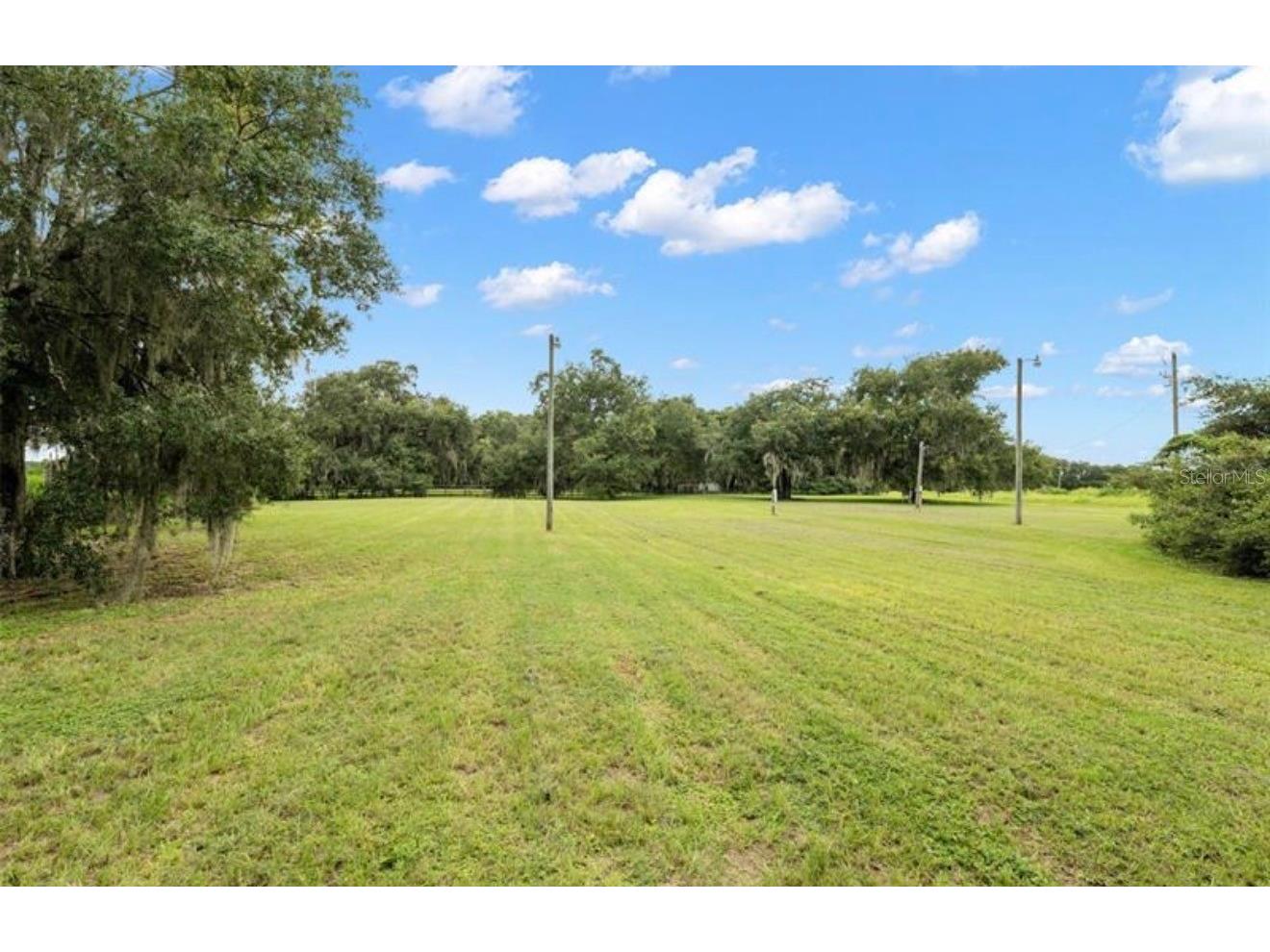 9028 Mckendree Road Wesley Chapel FL 33545 TB8495235 image4