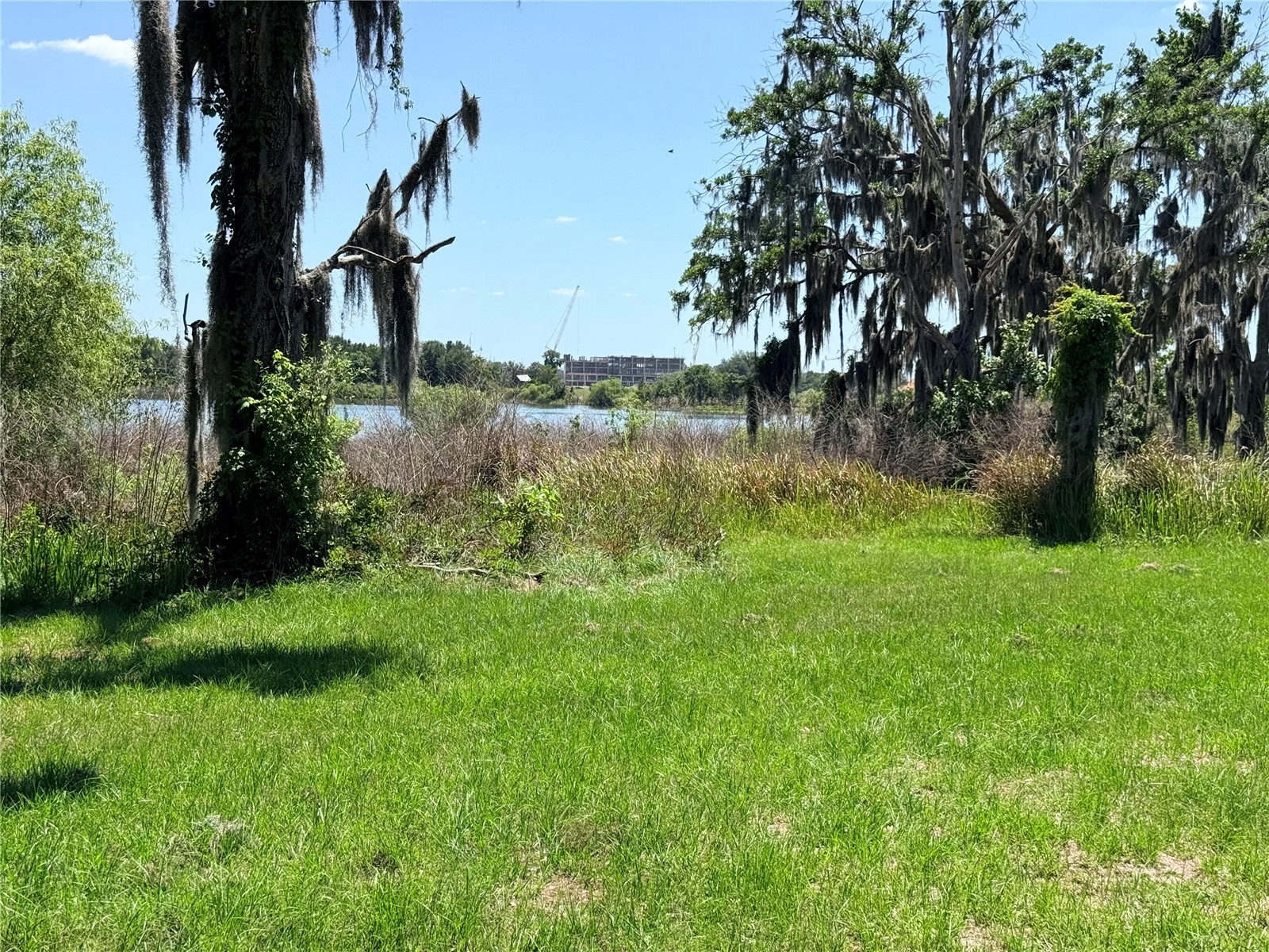 9028 Mckendree Road Wesley Chapel FL 33545 TB8495235 image8