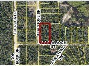 9028 Realstone Drive Webster FL 33597 W7886940 image1