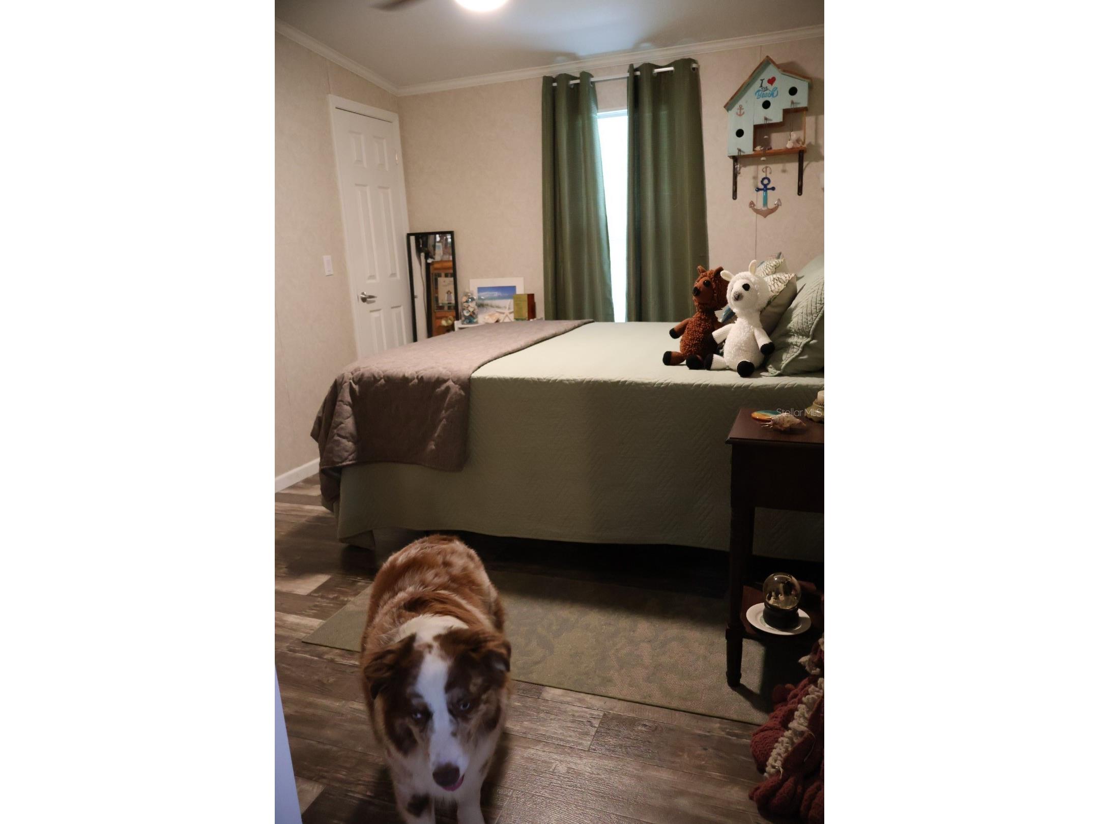 9028 West Street Brooksville FL 34601 TB8518787 image13