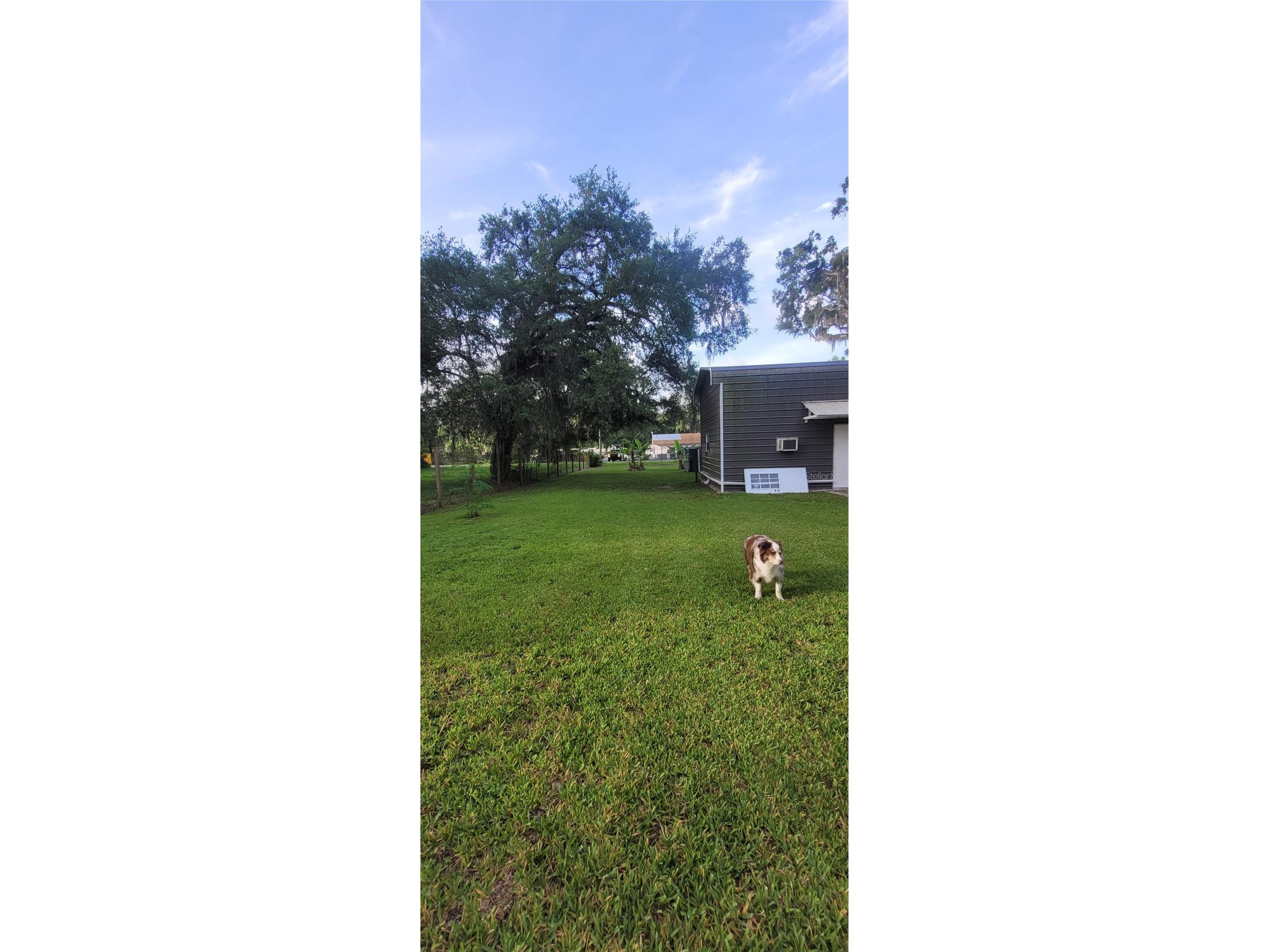 9028 West Street Brooksville FL 34601 TB8518787 image18