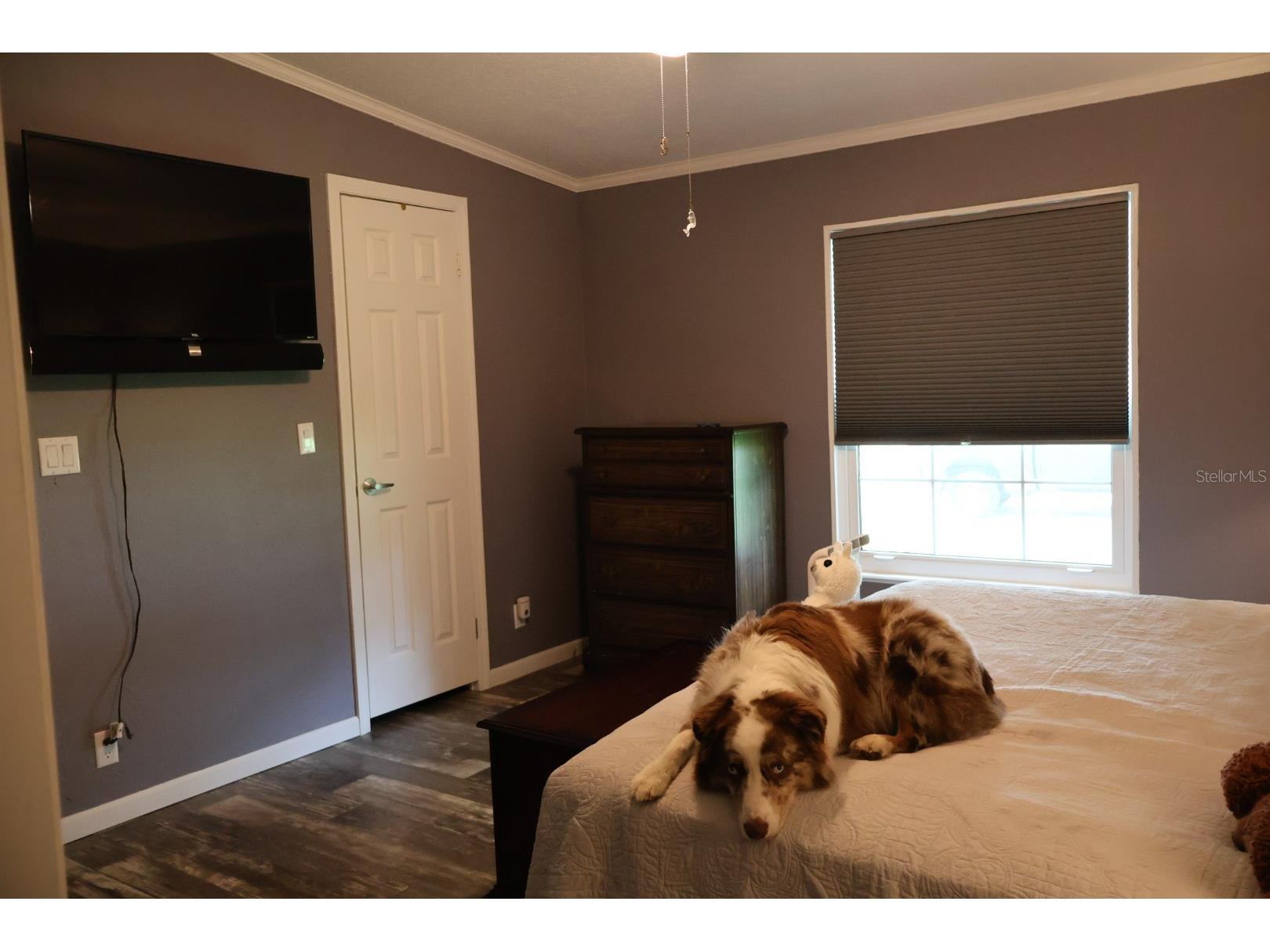 9028 West Street Brooksville FL 34601 TB8518787 image23