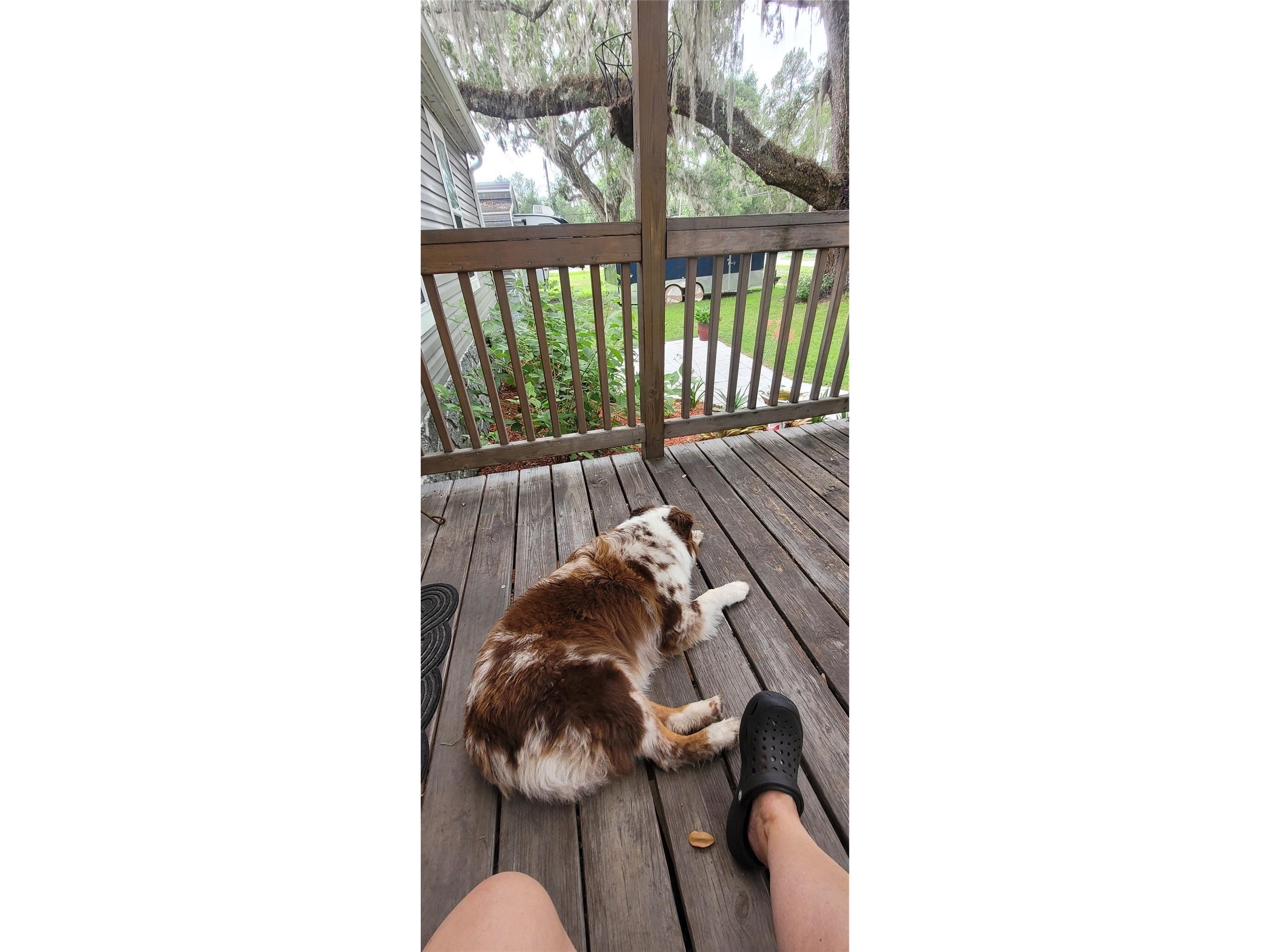 9028 West Street Brooksville FL 34601 TB8518787 image38
