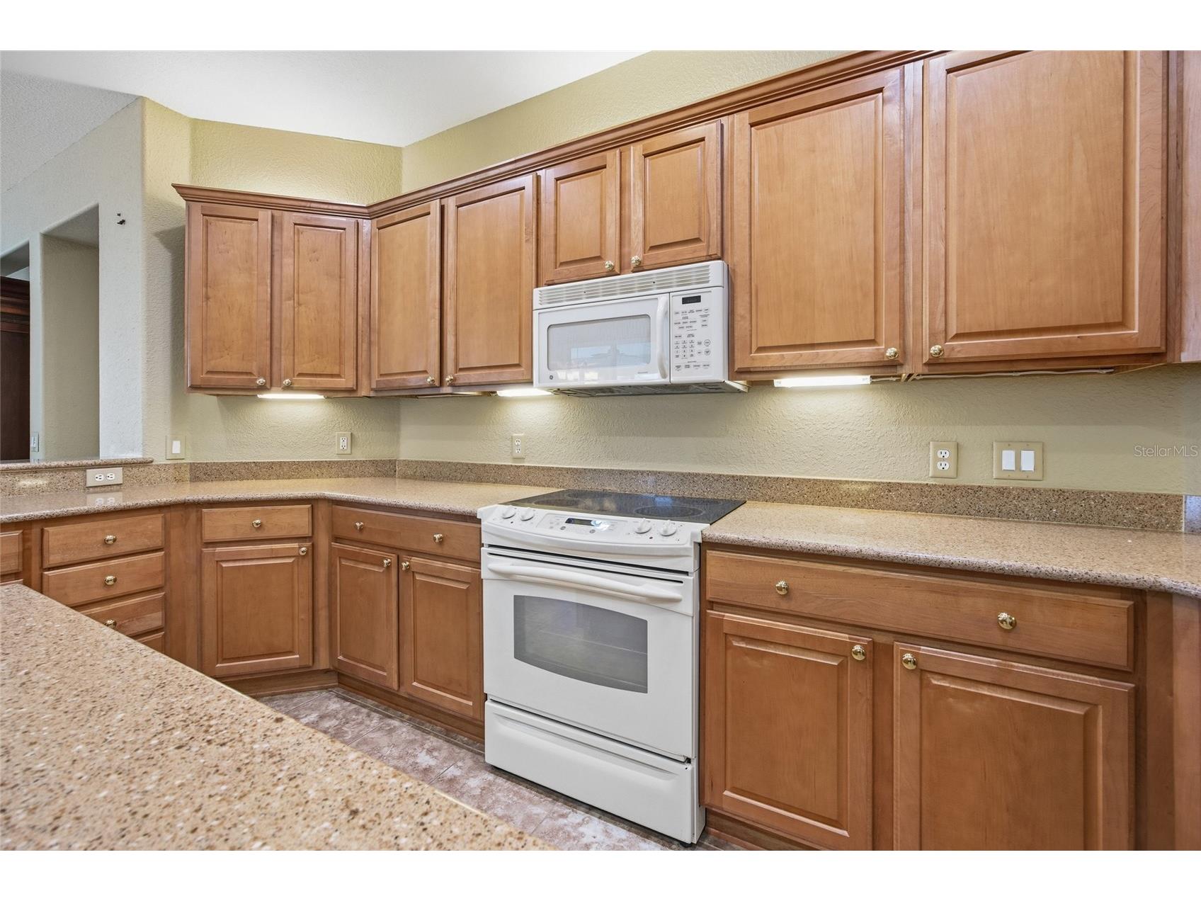 9029 SE 130th Loop Summerfield FL 34491 G5110412 image16