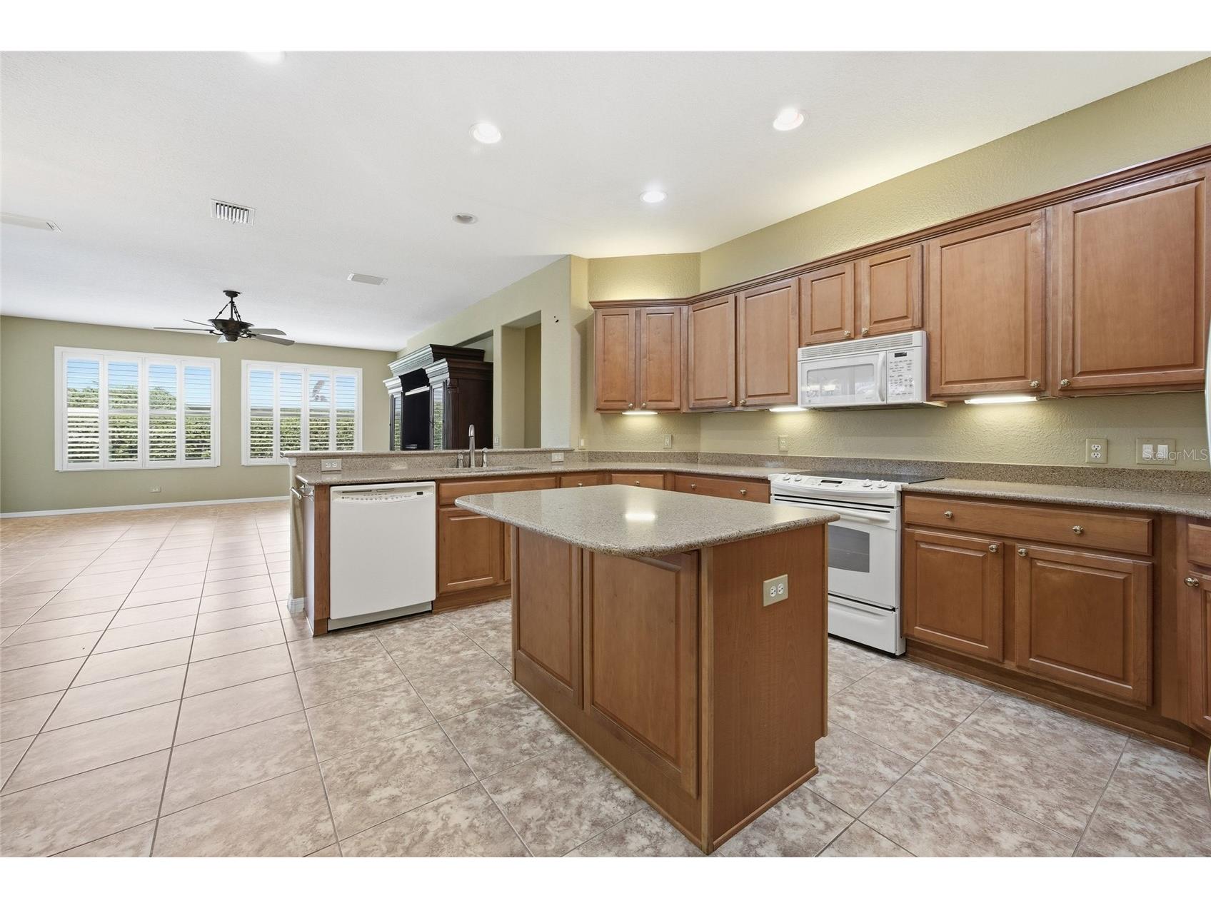 9029 SE 130th Loop Summerfield FL 34491 G5110412 image19