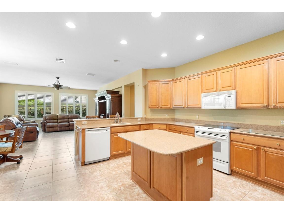 9029 SE 130th Loop Summerfield FL 34491 O6335599 image35