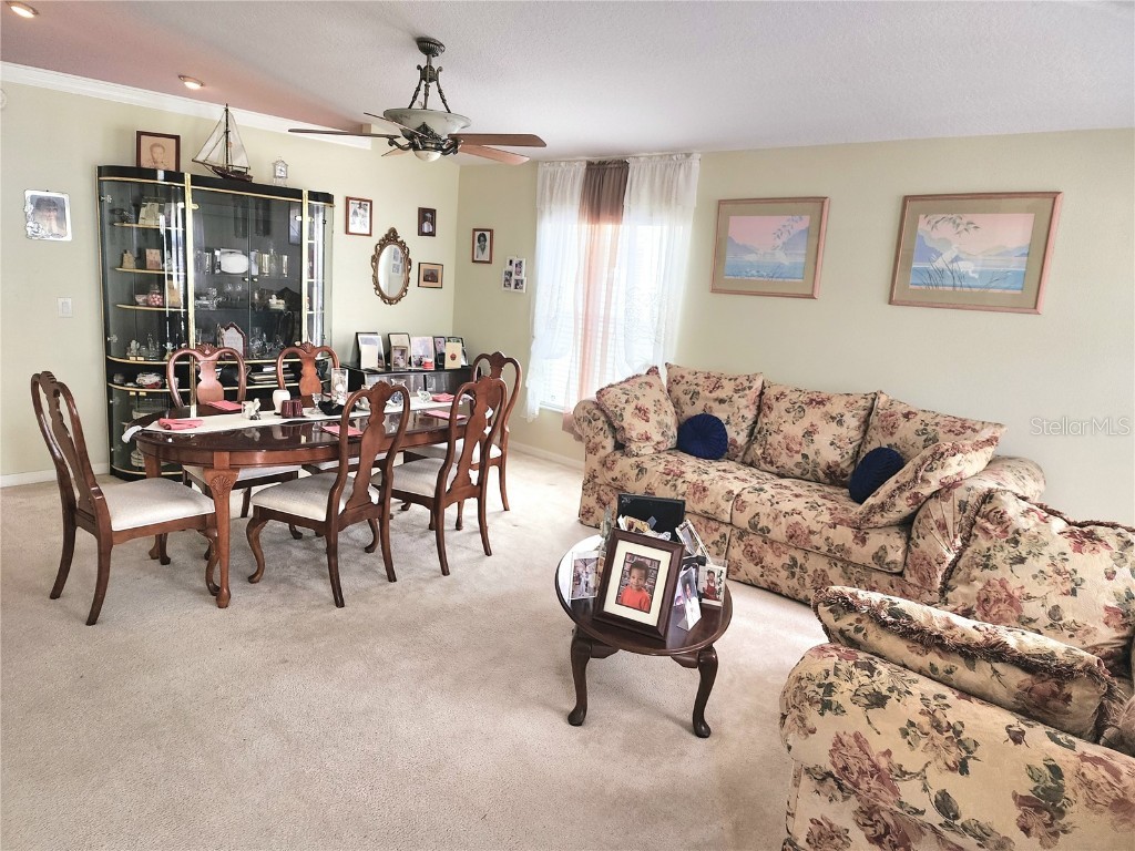 903 15th Street NE, Ruskin, FL, 33570 MLS T3525194 Edina Realty