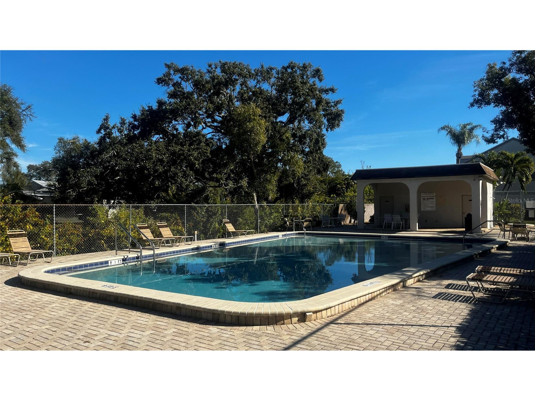 903 Bough Avenue #903 Clearwater FL 33760 TB8473988 image13