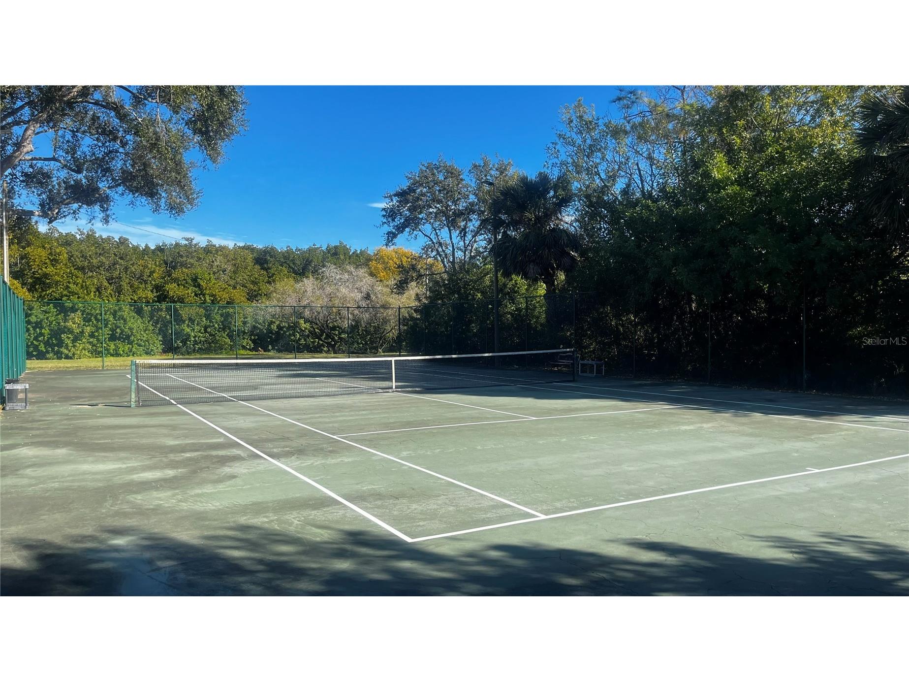 903 Bough Avenue #903 Clearwater FL 33760 TB8473988 image15