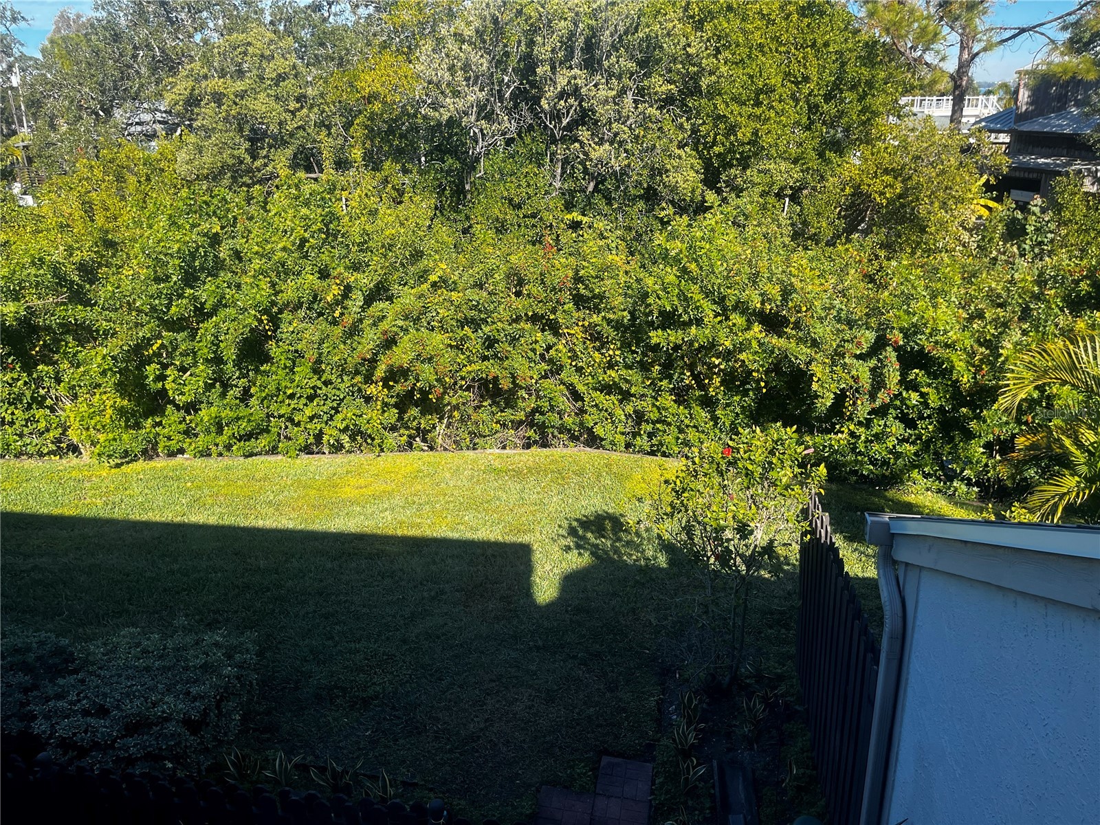 903 Bough Avenue #903 Clearwater FL 33760 TB8473988 image16