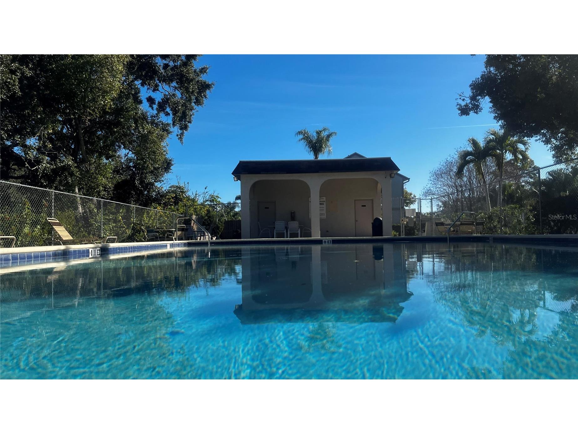 903 Bough Avenue #903 Clearwater FL 33760 TB8473988 image6