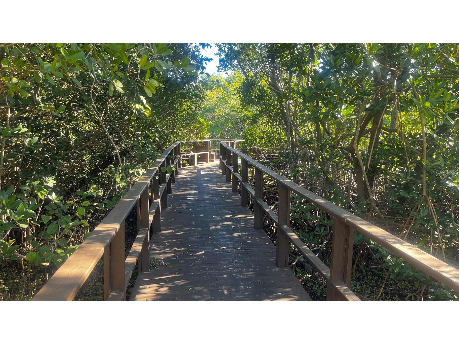 903 Bough Avenue #903 Clearwater FL 33760 TB8473988 image8