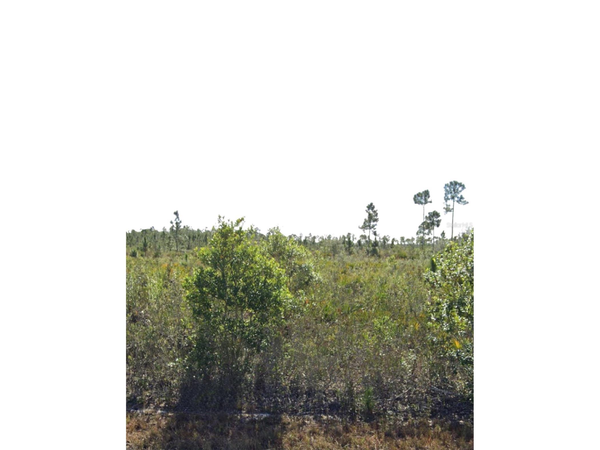 903 Calliandra Drive Indian Lake Estates FL 33855 O6377064 image1