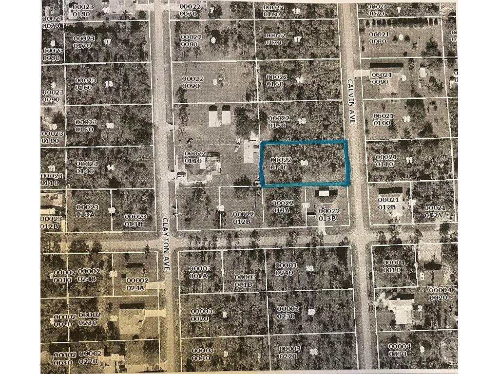 903 Calvin Avenue Lehigh Acres FL 33972 O6098363 image1