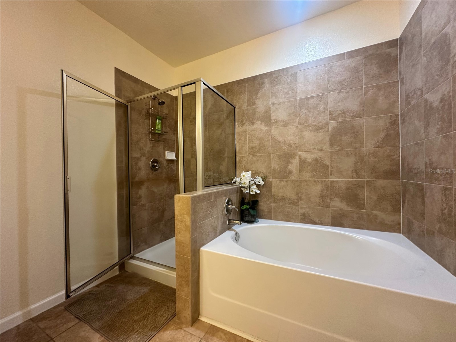 903 Charo Parkway #837 Davenport FL 33897 S5142028 image18