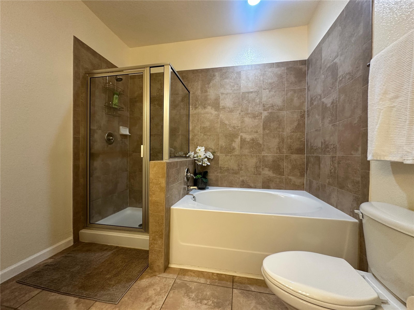 903 Charo Parkway #837 Davenport FL 33897 S5142028 image53