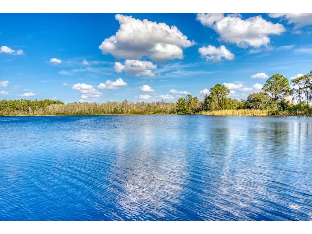 903 Gran Bahama Boulevard #903 Davenport FL 33897 O6371140 image34