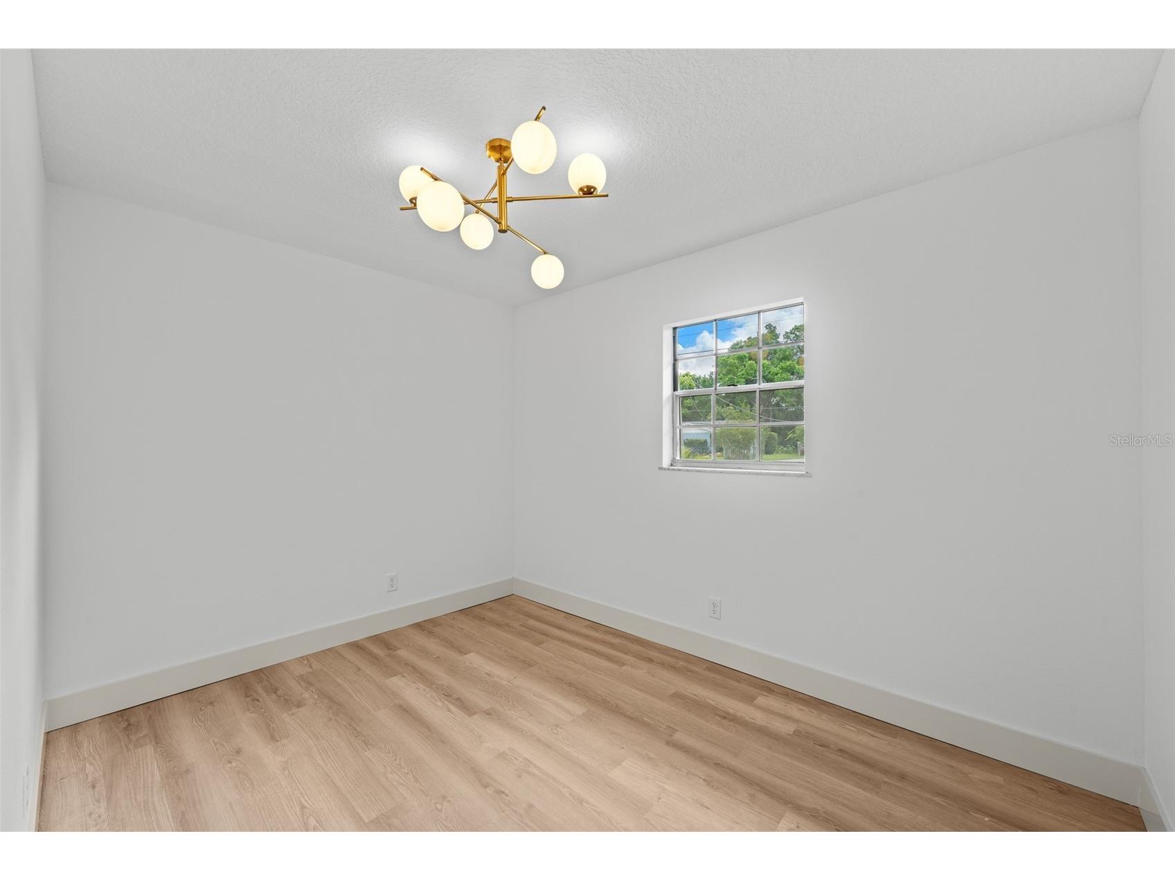 903 Lanewood Drive Seffner FL 33584 TB8494457 image33