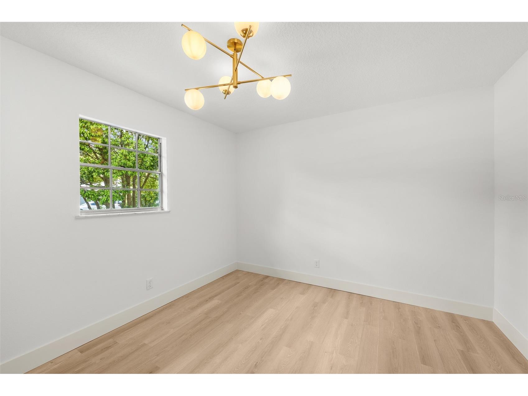 903 Lanewood Drive Seffner FL 33584 TB8494457 image37