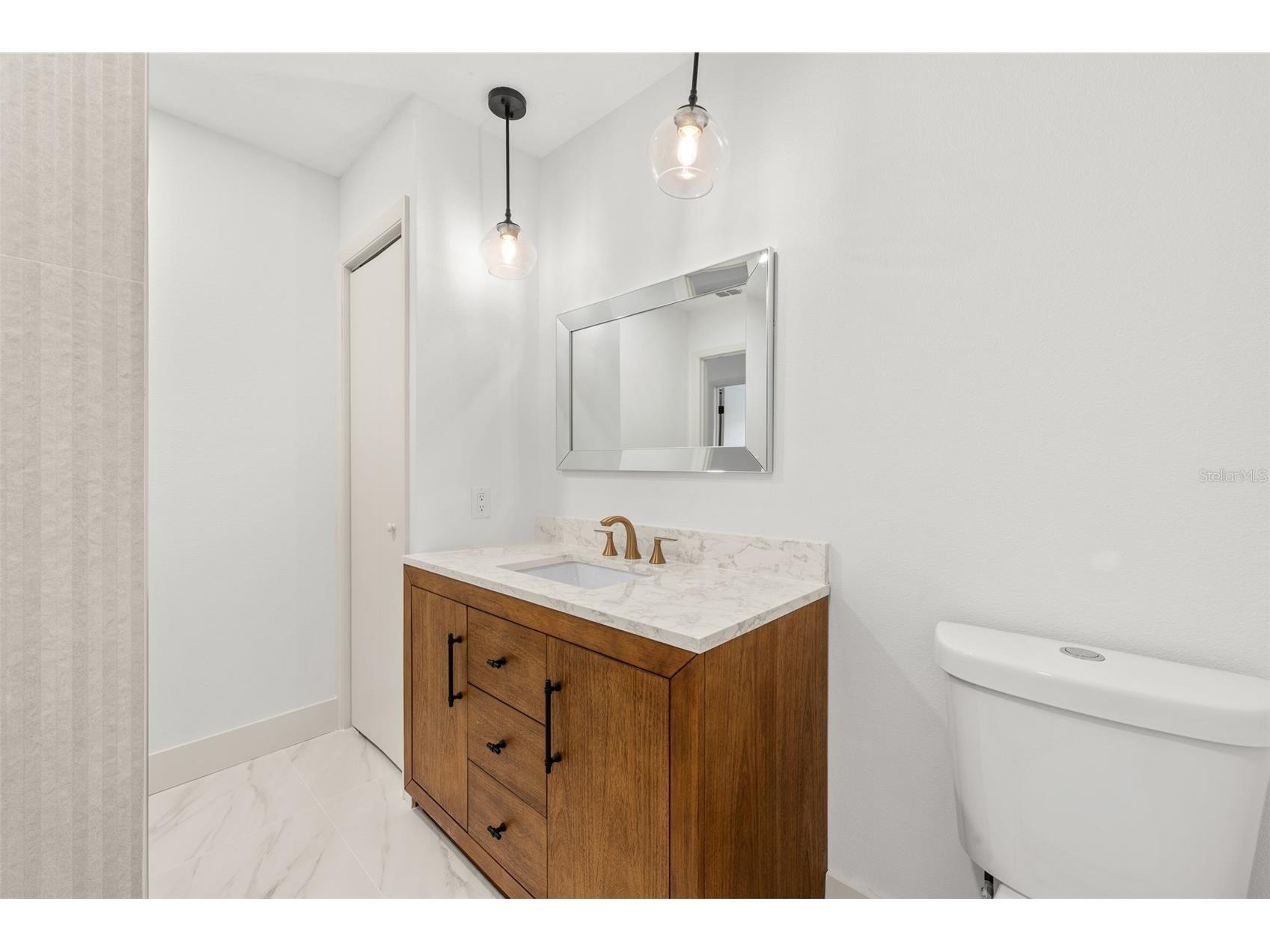 903 Lanewood Drive Seffner FL 33584 TB8494457 image38