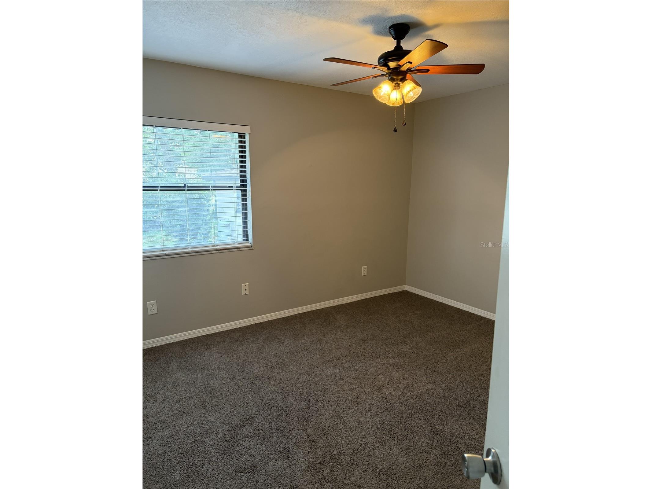 903 Monroe Court Apopka FL 32703 O6408374 image16