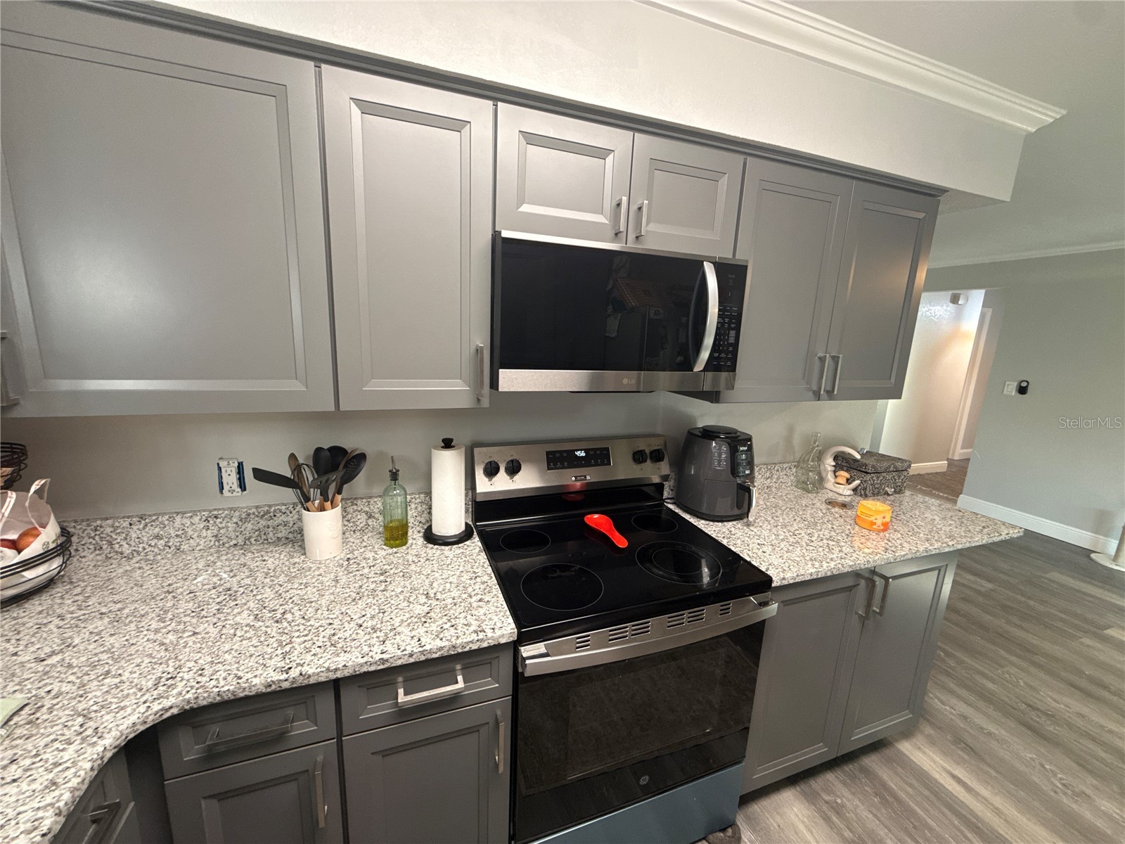 903 N Harbor Terrace Tavares FL 32778 - LAKE DORA -HARRIS CHAIN LAKES O6360677 image32