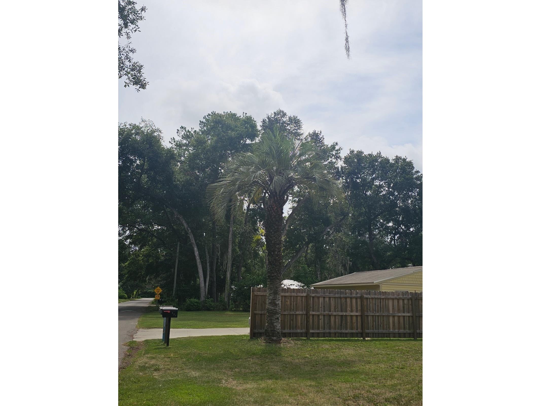 903 NW 33rd Avenue Gainesville FL 32609 O6386547 image19