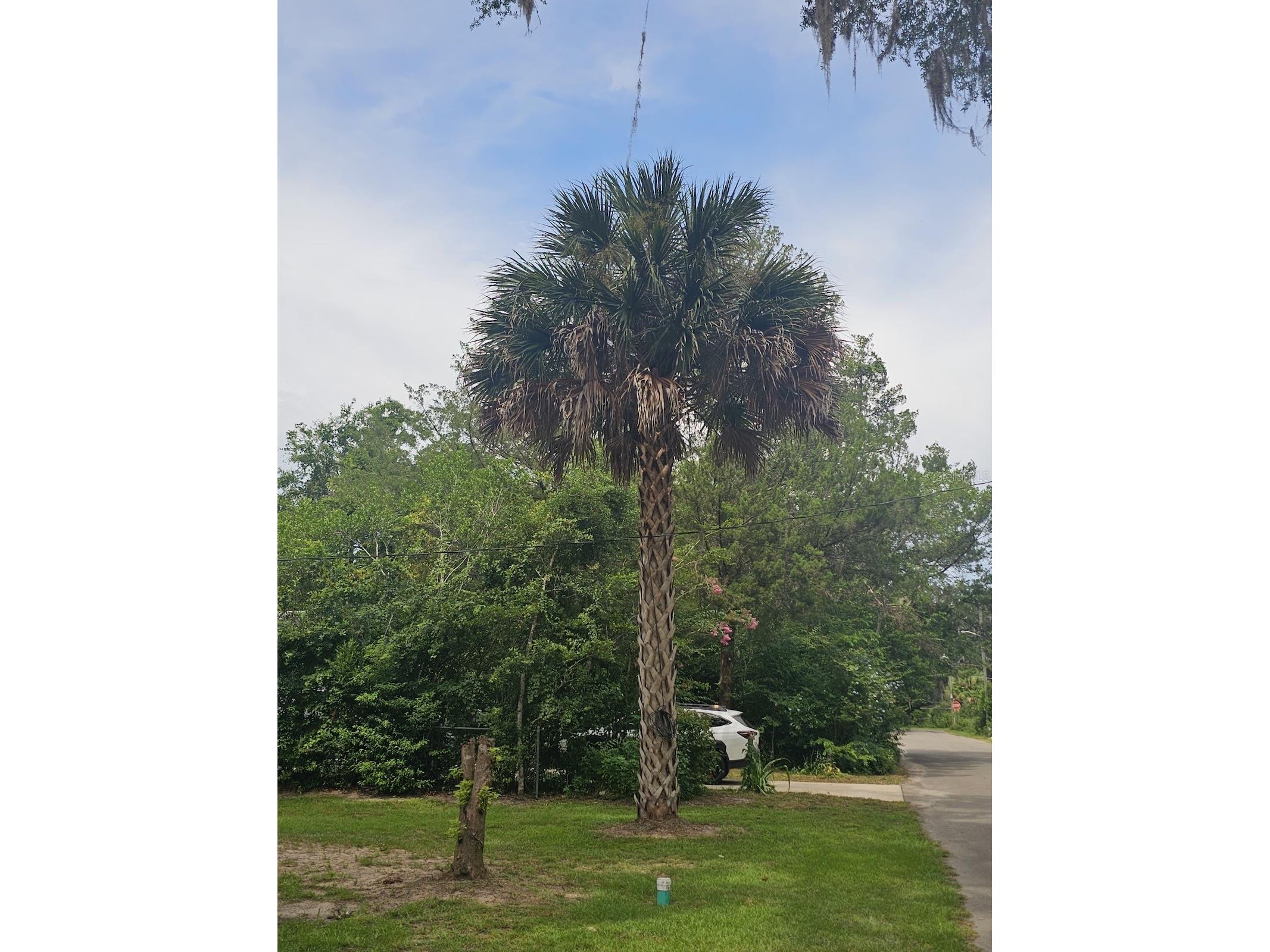 903 NW 33rd Avenue Gainesville FL 32609 O6386547 image20
