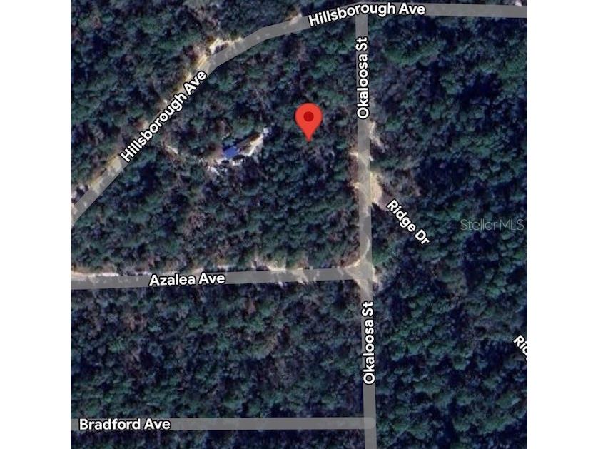 903 Okaloosa Street Florahome FL 32140 O6336504 image1