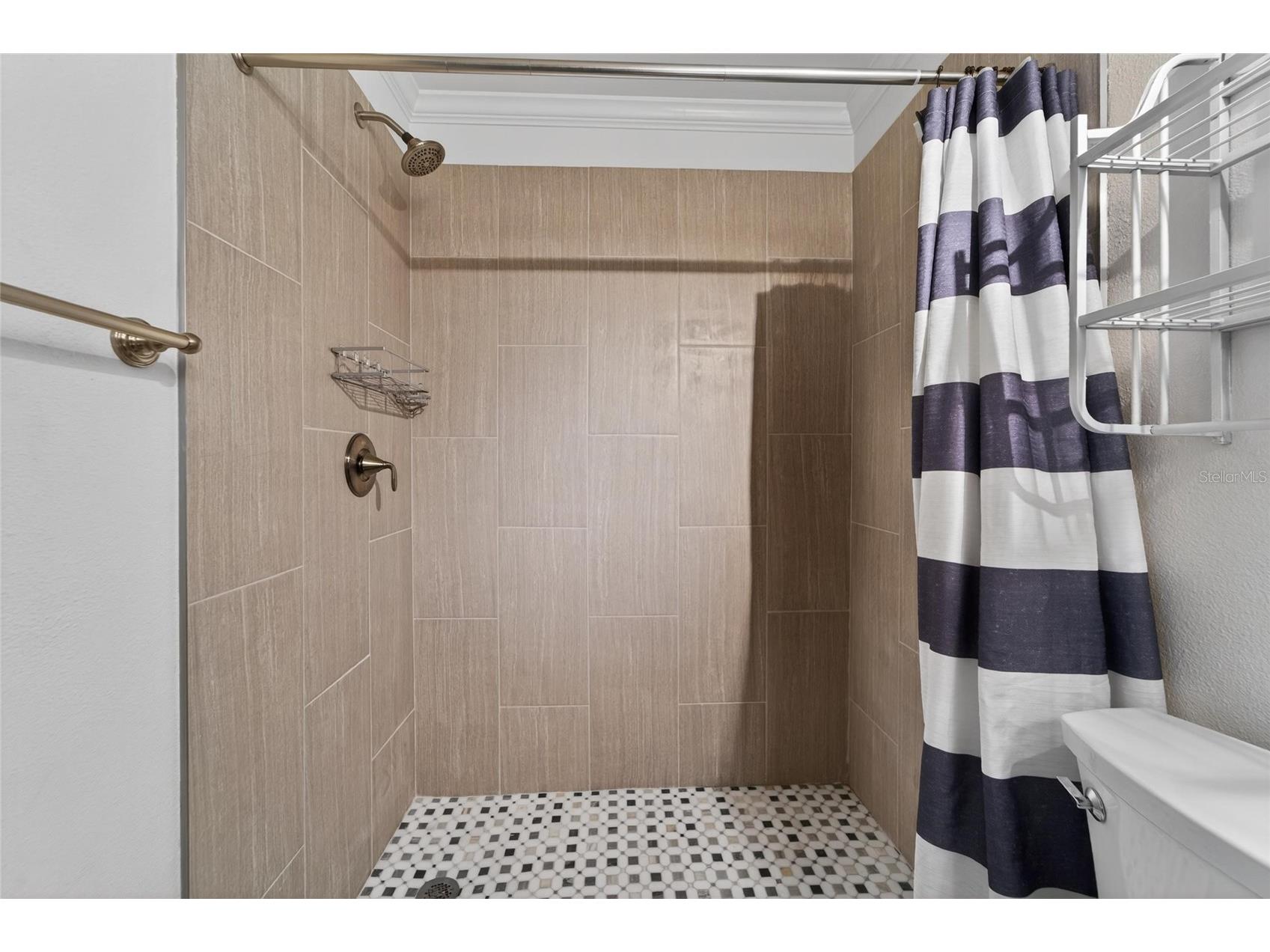 903 Old Darby Street Seffner FL 33584 TB8507353 image18