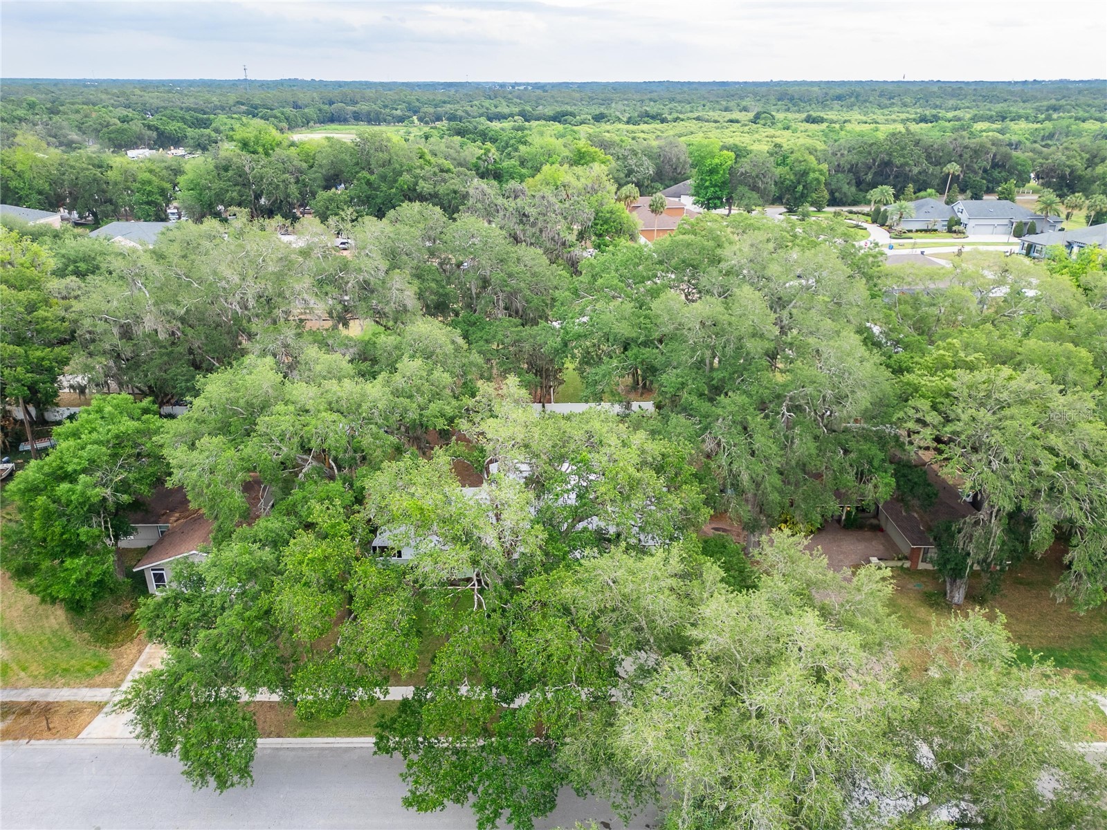 903 Old Darby Street Seffner FL 33584 TB8507353 image63