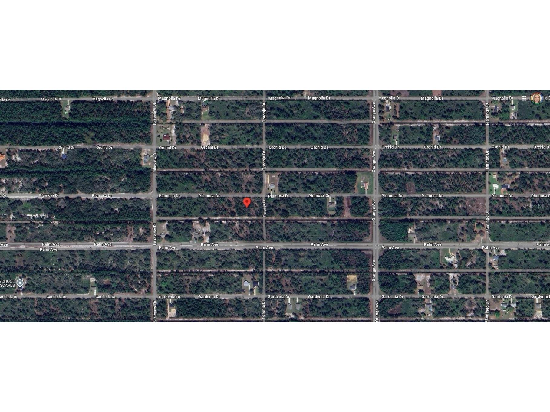 903 Plumosa Drive Indian Lake Estates FL 33855 - LAKE WALK IN WATER P4933466 image1