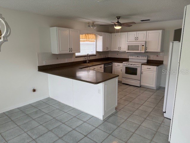 903 Ramos Drive The Villages FL 32159 O6358859 image10