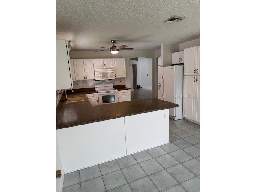 903 Ramos Drive The Villages FL 32159 O6358859 image11